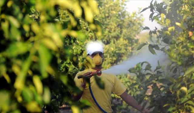 Böcek ilaçlarının satışında yeni düzenleme: Reçetesiz ve internetten satış yasak artık yasak