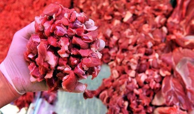 Kırmızı ette şap etkisi: Besicilere göre üretimde yüzde 20-30 kayıp var