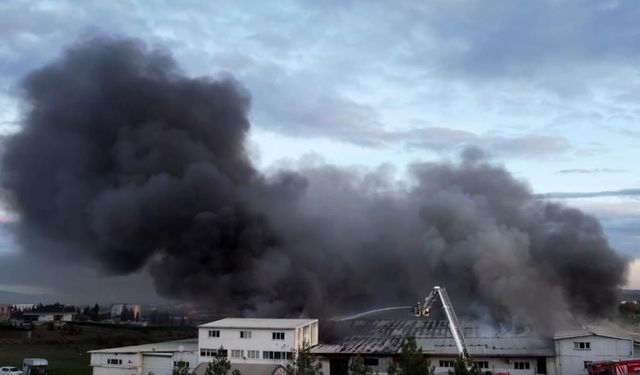 İstanbul Tuzla'da fabrika yangını