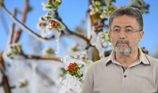 Bakan Yumaklı: Zirai dondan etkilenen üreticilerimize toplamda 46,1 milyar lira ödeme yapıldı