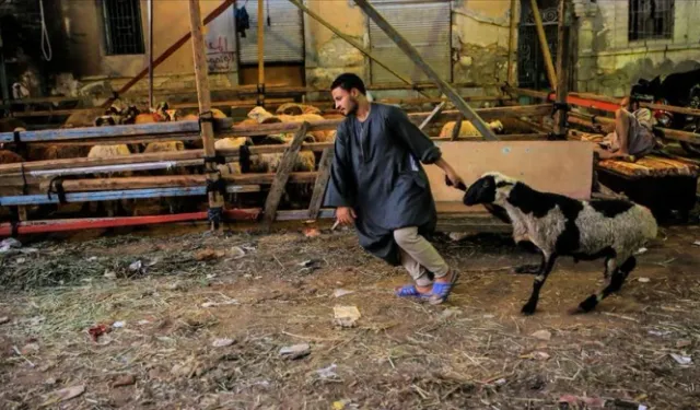 Kurban Bağışı Organizasyonlarında Şeffaflık Neden Kritik Hale Geldi?