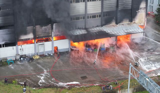 Trabzon'da fındık fabrikası deposunda yangın