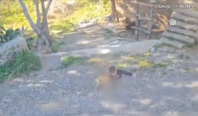 Antalya'da sahipsiz köpeklerin saldırdığı çocuk yaralandı