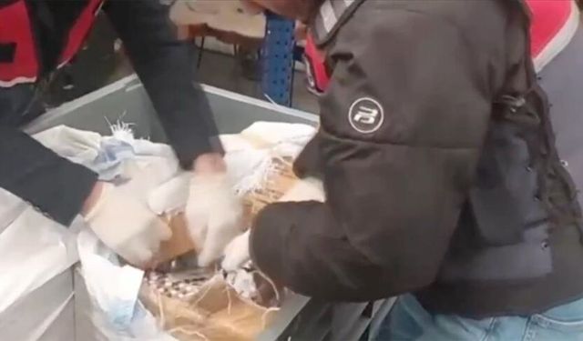 Sosyal medya üzerinden uyuşturucu satanlara yönelik operasyonlarda 99 şüpheli tutuklandı