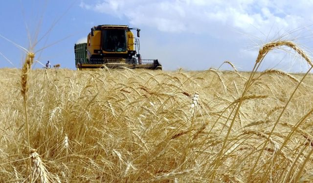 Çaycuma'da tarım yatırımı: 1000 kişilik istihdam
