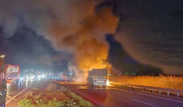 Alevler tırı sardı, Karacabey-Bursa karayolunda ulaşım durdu