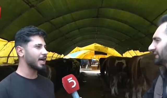 Genç besici kurban pazarında sitem etti: "Mazot iki katına çıktı, hayvancılığı bitirdiler!"