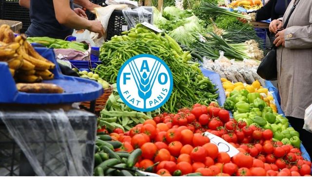 FAO'dan Hürmüz Boğazı'na ilişkin uyarı: Küresel gıda krizi kapıda