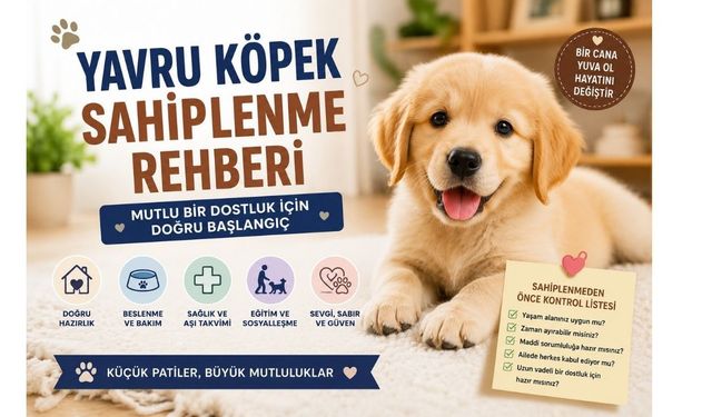 Yavru Köpek Sahiplenme ve Köpek Sahiplenme Rehberi