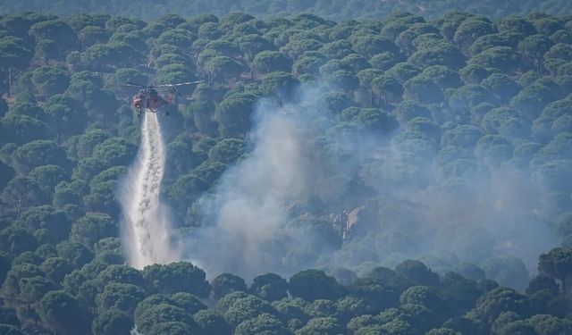 1 Haziran'dan bugüne kadar çıkan yangınlarda 9 tutuklama