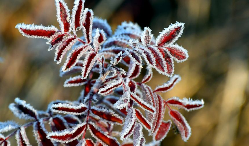 Kars'ta soğuk hava muhteşem fotoğraflar ortaya çıkardı