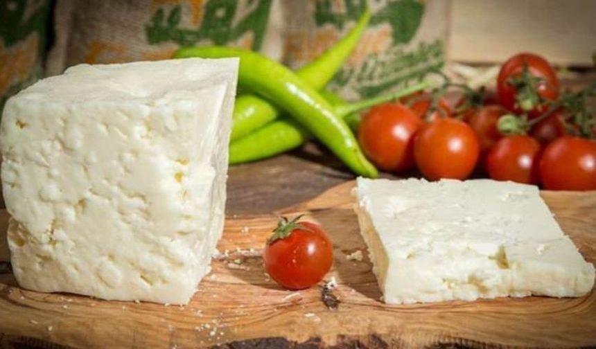 'Ezine peyniri' AB’den coğrafi işaret tescili aldı
