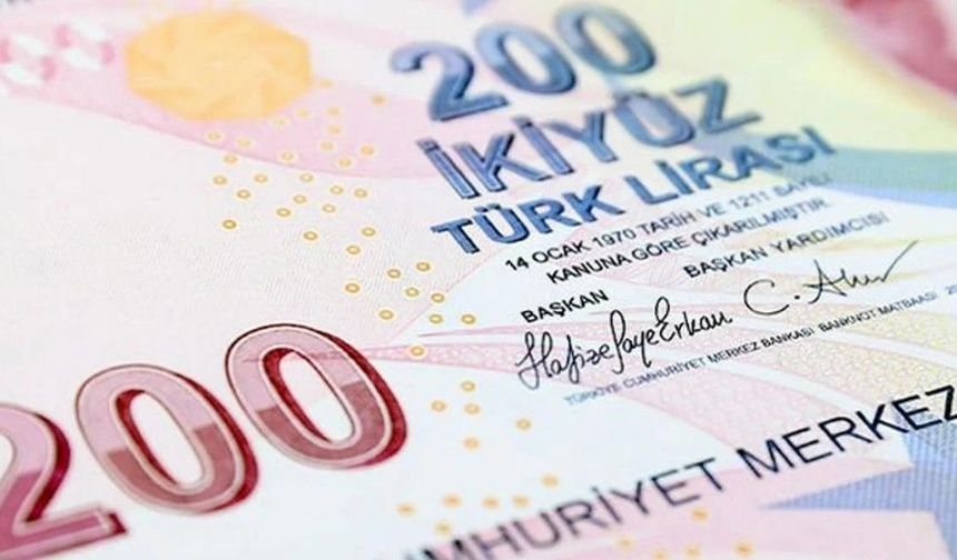 Resmi Gazete'de yayımlandı: Hafize Gaye Erkan imzalı yeni 200 TL banknotlar tedavülde