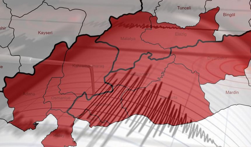 Deprem bölgesinde yer alan 11 il, bir yılda 57 bin 15 kez sallandı