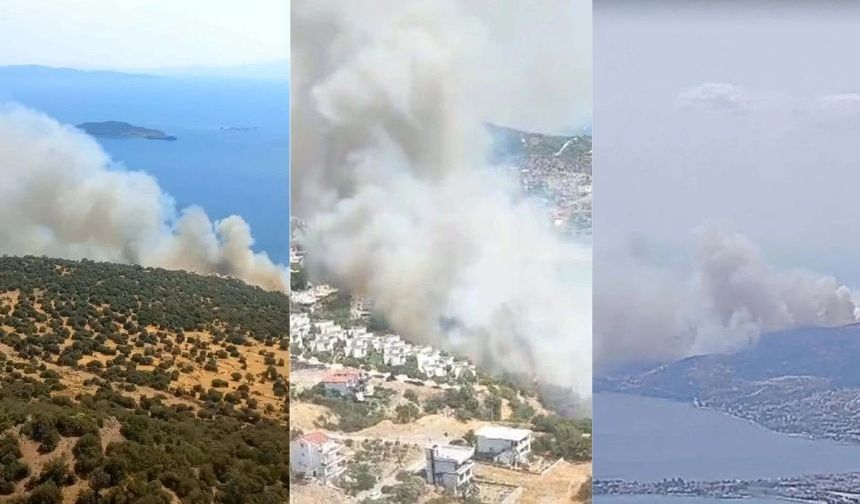 İzmir Dikili’de orman yangını: Bir site tahliye edildi