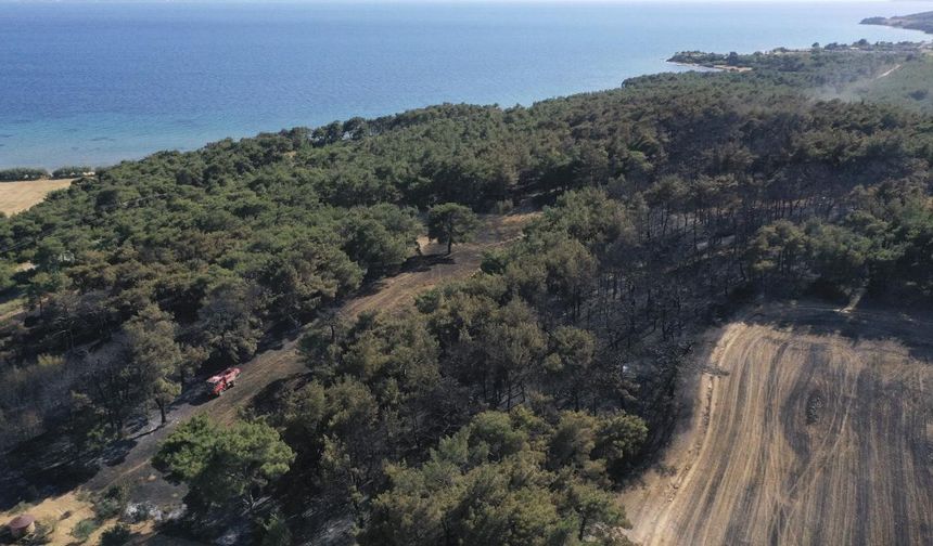 Çanakkale’de ormanlara giriş yasağı uzatıldı