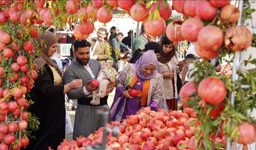 Irak'ın Halepçe şehrinde, 3 gün sürecek geleneksel Nar Festivali başladı