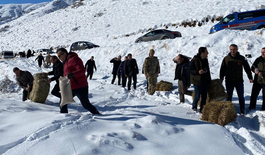 Erzurum'da yaban hayatı için doğaya yem bırakıldı