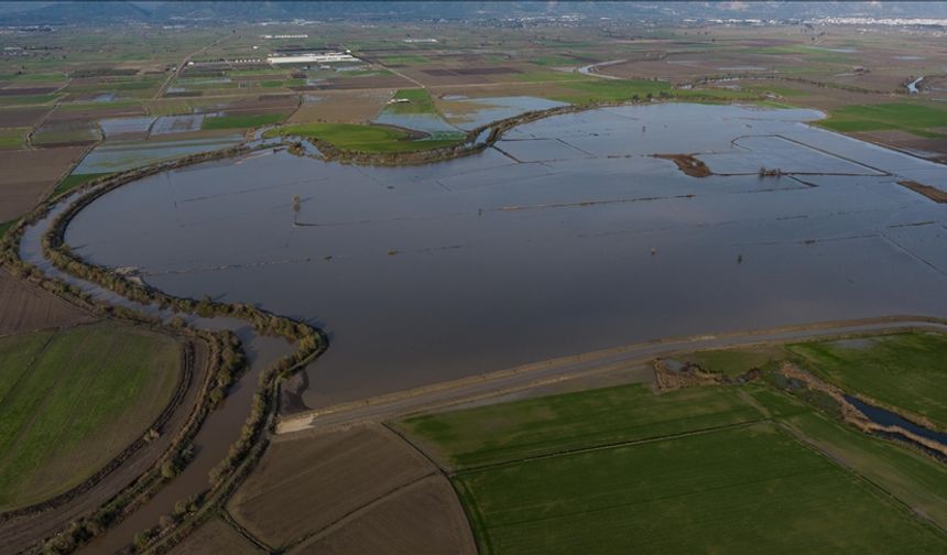 Büyük Menderes Nehri'nde taşkınlar yaşandı