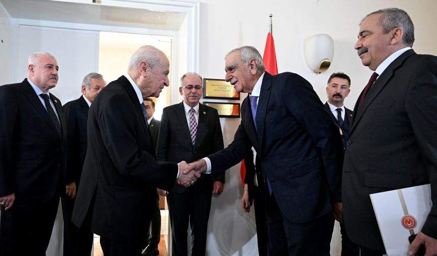 Bahçeli ile görüşen Ahmet Türk'ten kayyım ataması ile ilgili başvuru