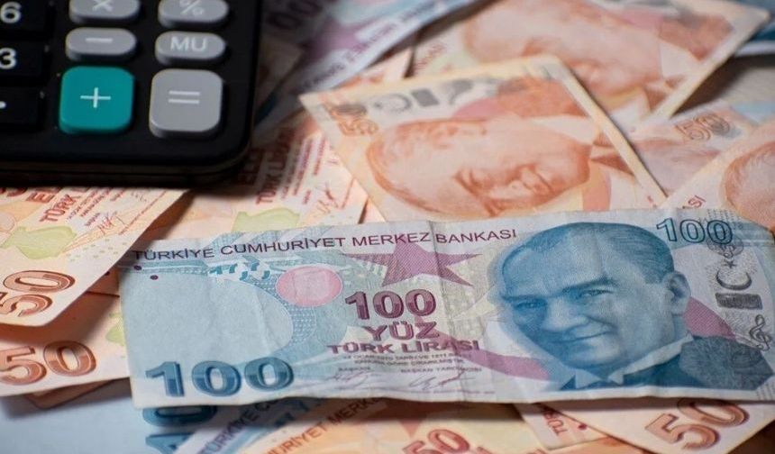 Vatandaşlık maaşı için takvim netleşiyor: Pilot uygulama Haziran'da