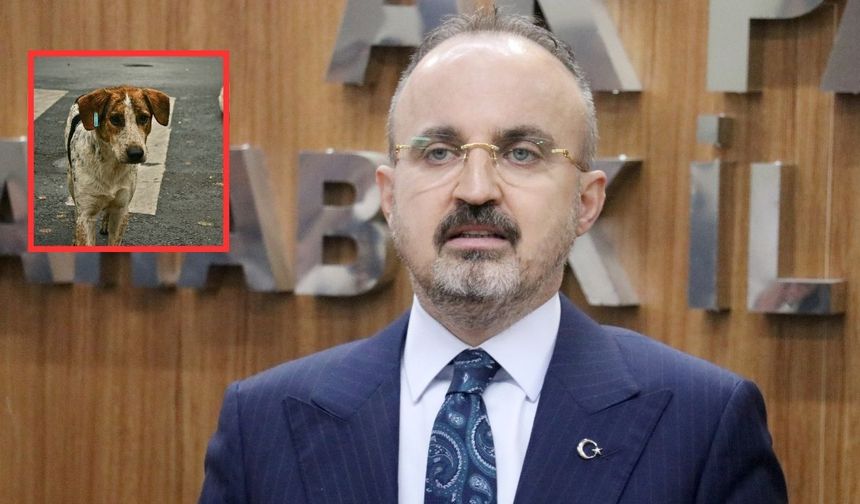 İçişleri Bakan Yardımcısı Bülent Turan: Sokak köpekleri çözülmesi gereken bir güvenlik sorunudur
