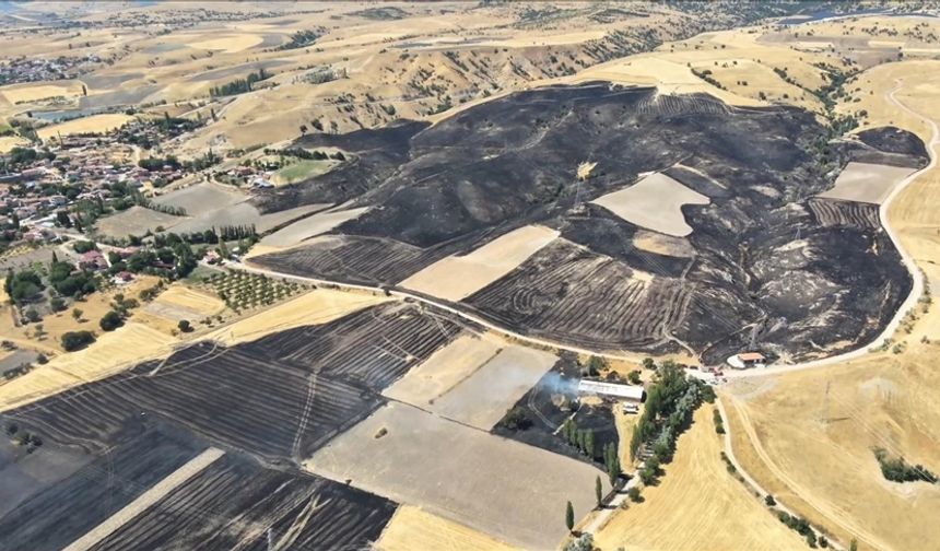 Amasya’da tarım arazisinde çıkan yangında yaklaşık 500 dönüm alan zarar gördü