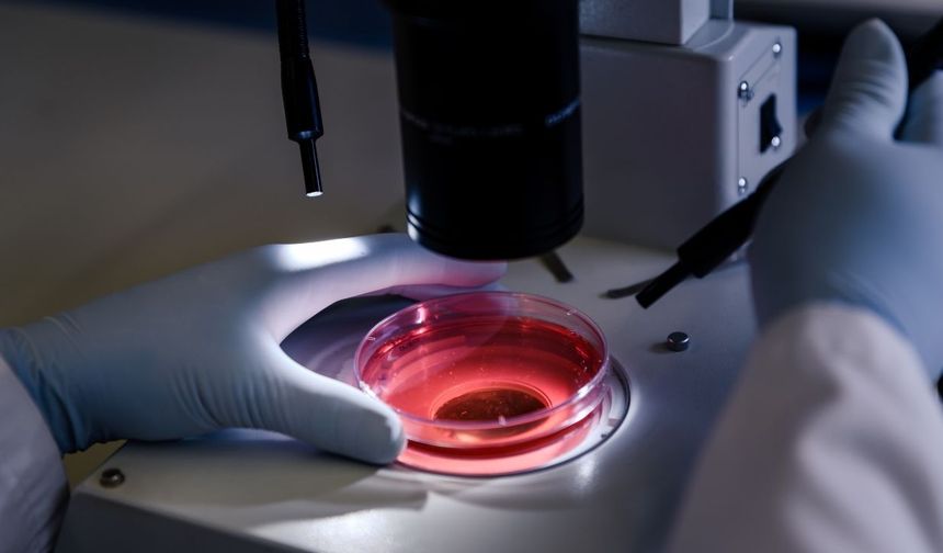 Türkiye’nin En İyi Tüp Bebek Laboratuvarları ve Merkezleri