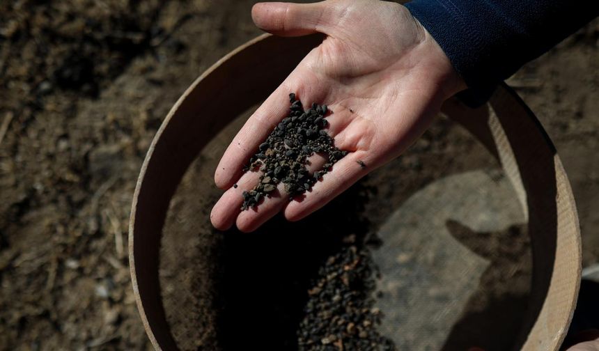 Van'da 5 bin yıllık arpa taneleri bulundu