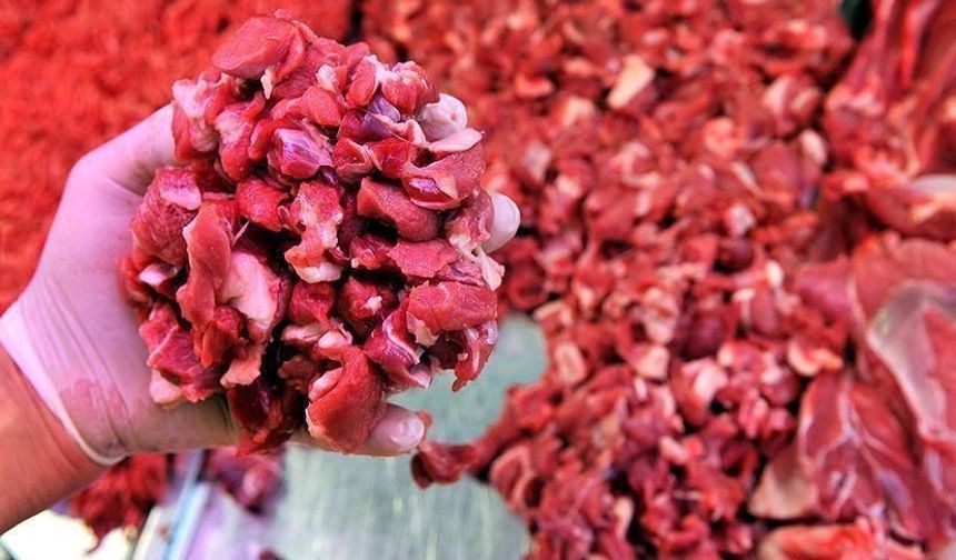 Kırmızı ette şap etkisi: Besicilere göre üretimde yüzde 20-30 kayıp var