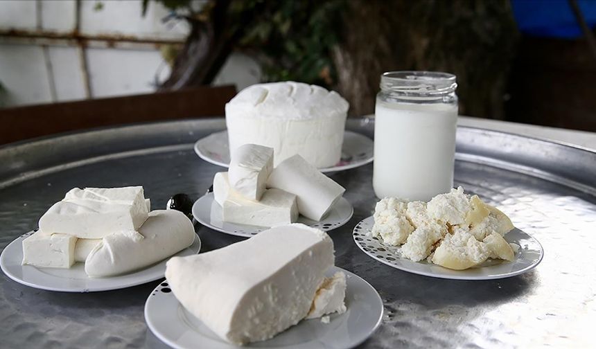 Sosyal medya fenomenlerine peynir ve süt tepkisi: "Yanlış ve bilimsel gerçeklerden uzak"