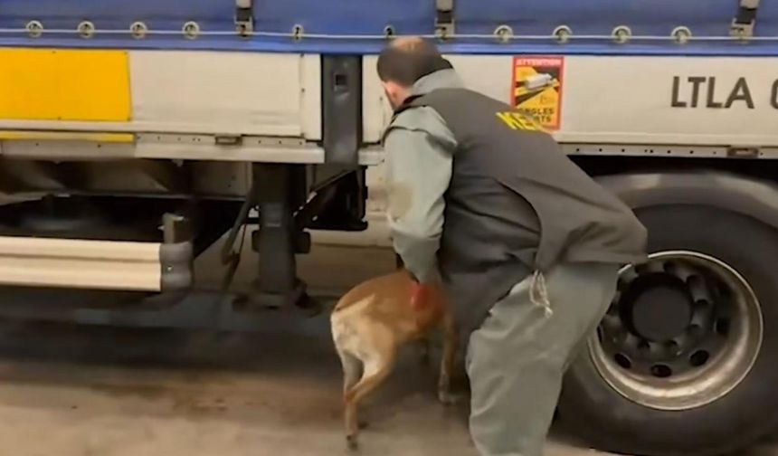 Uluslararası uyuşturucu ticaretiyle mücadele: 240 kilo uyuşturucu ele geçirildi