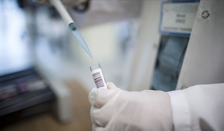 İstanbul'da 2025'te kuduz riskli temas nedeniyle yaklaşık 124 bin kişi hastanelere başvurdu