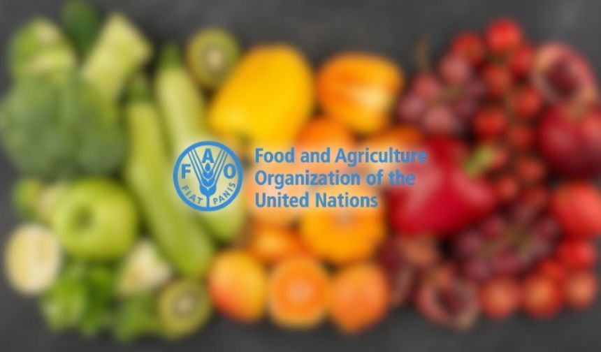FAO: Küresel gıda fiyatları 5 ay sonra yeniden yükselişe geçti
