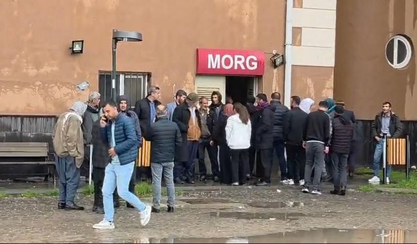 Diyarbakır'da ağaca yıldırım isabet etti: 2 ölü, 1 yaralı