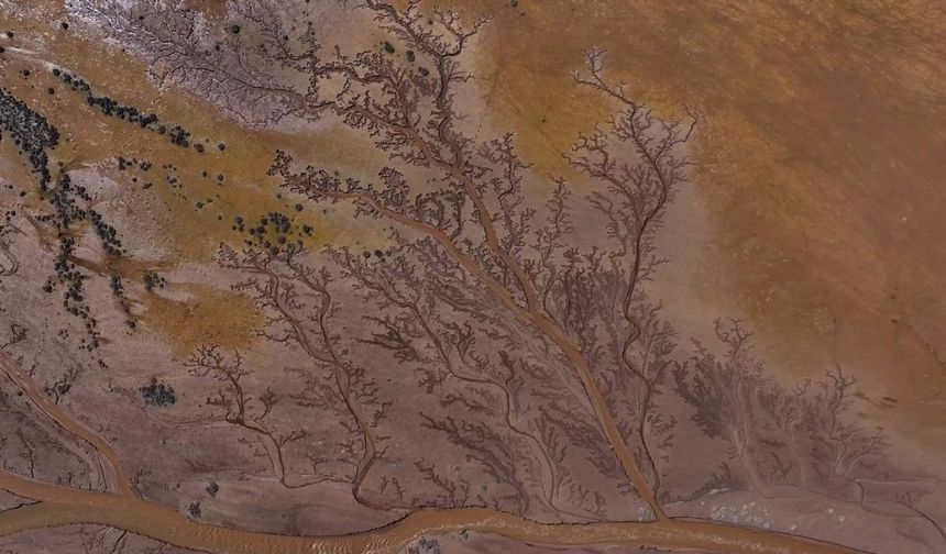 Tuzla Palas Gölü’nü besleyen suların artışı ile birlikte “hayat ağacı” görünümü yeniden oluştu