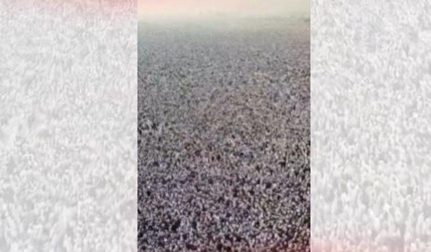 Arafat'ta mahşeri tablo: "Bir kefen parçası dışında hiçbir şey yok"