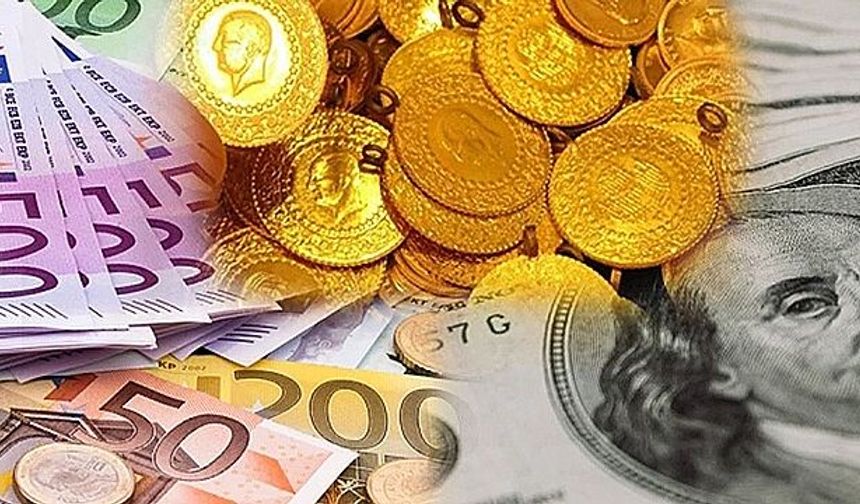 En fazla döviz bulunduran şehirler belli oldu