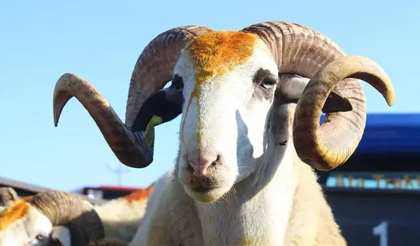 Kurban Bayramı'nda hava nasıl olacak?
