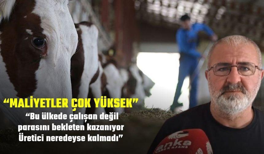 Hayvancılık alarm veriyor! "Çalışan değil, parasını bekleten kazanıyor"