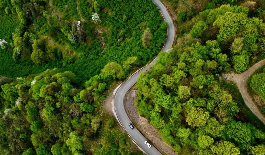 Kahramanmaraş'ta ormanlık alanlara girişler yasaklandı