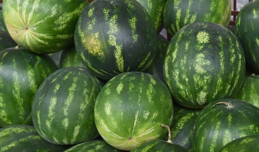 İstanbul'da mayısta en çok karpuz ve domates tüketildi
