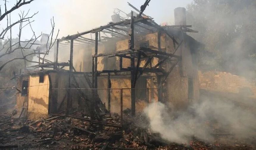 Antalya, Muğla ve Balıkesir'deki yangınlarda 65 bağımsız bölüm ağır hasar gördü veya yıkıldı