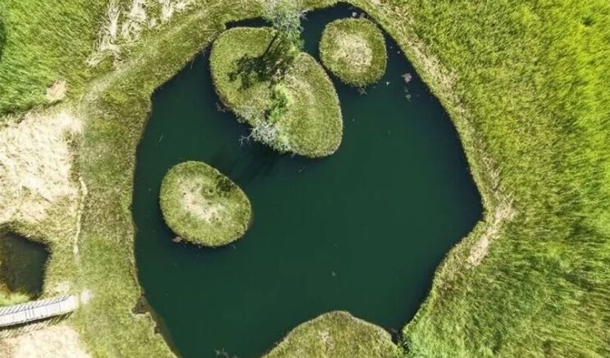 Bingöl'de yüzen adalara ev sahipliği yapan Turnalar Gölü su altından görüntülendi