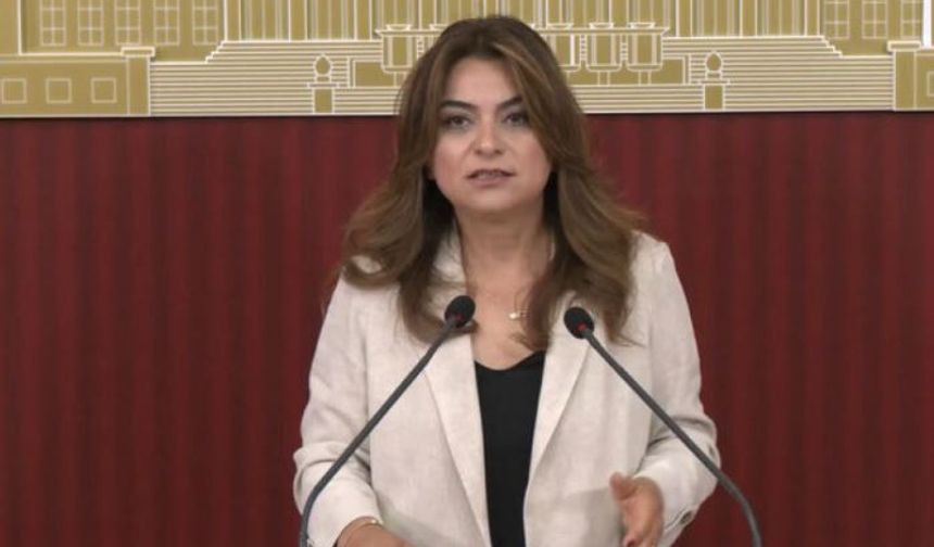DEM Partili Koçyiğit: Çerçeve yasanın Meclis kapanmadan çıkacağına dair bilgiyi teyit edebilirim