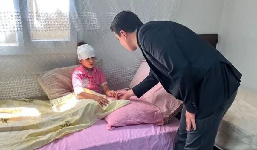Şanlıurfa'da sahipsiz köpeklerin saldırısına uğrayan 8 yaşındaki çocuk yaralandı