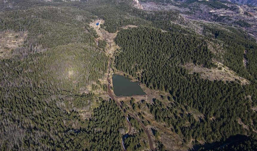 Ankara'da ormanlara giriş yasağı 15 Ekim'e kadar uzatıldı