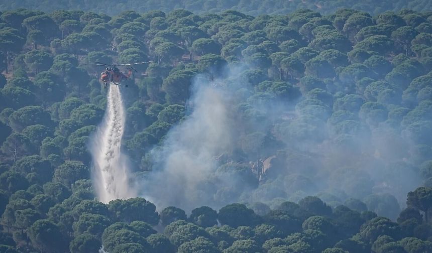 İletişim Başkanlığından orman yangınları açıklaması