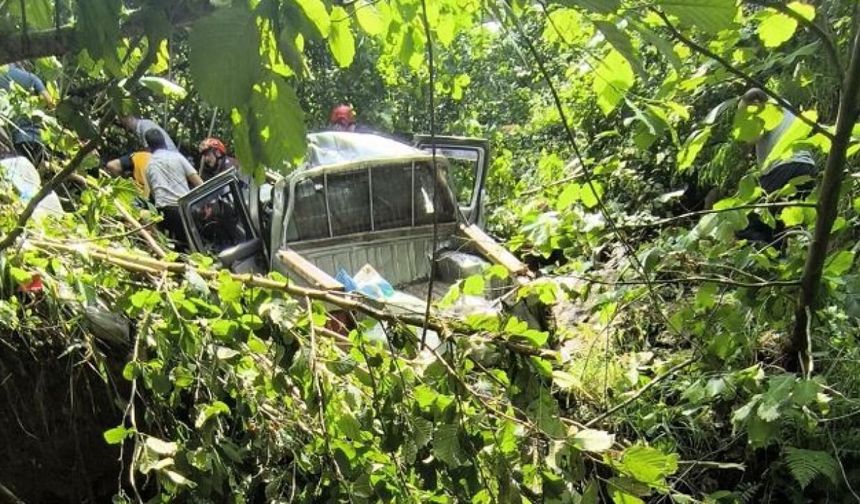 Trabzon'da kamyonet fındık bahçesine yuvarlandı: Ölü ve yaralılar var!
