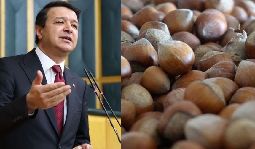 Mahmut Arıkan'dan açıklanan yeni fındık alım fiyatına tepki